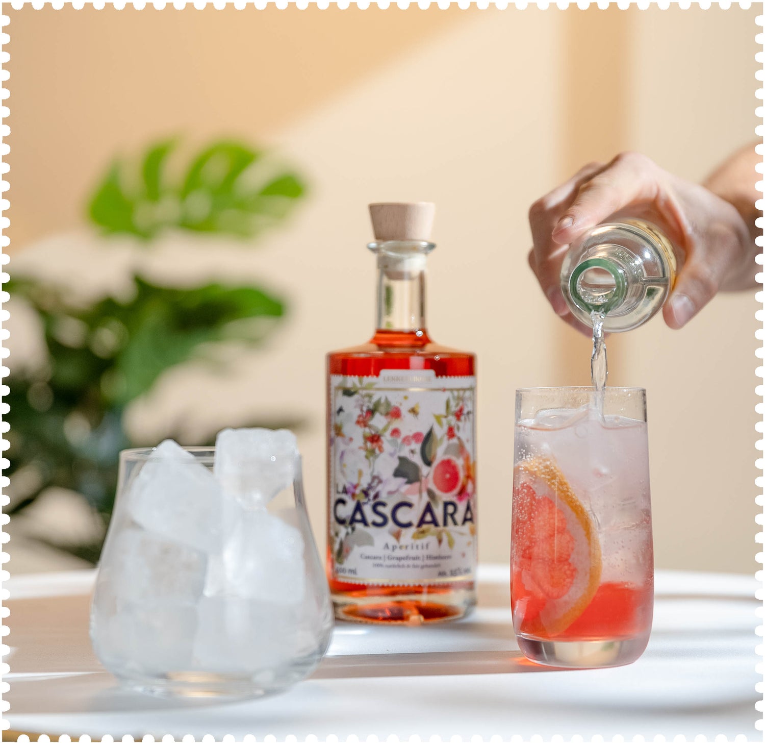 LACASCARA Tonic Gin-Tonic Spritz Kaffeekirschen Aperitivo Cascara
