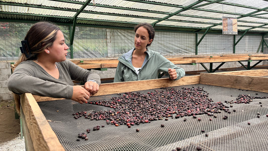 Wie LACASCARA entsteht - mehr über die Kaffeekirsche am Internationalen Tag des Kaffees