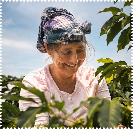 LACASCARA Cascara Kaffeefarmerin Kolumbien Peru